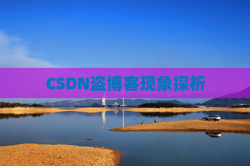 CSDN盗博客现象探析 CSDN盗博客现象探析